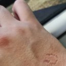 김종구식맛치킨·전기바베큐옛날통닭 부산신모라점 이미지