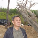 이병렬 농장 Daum카페