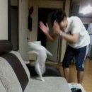 VIPS 대방점 이미지