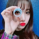 로로시 Daum카페