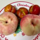 서부마트 | 광주 과일 서부농수산물 도매시장 복숭아 자두 수박 후기