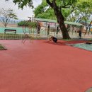 중원어린이집 이미지