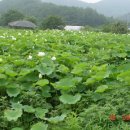 매죽골쉼터 이미지