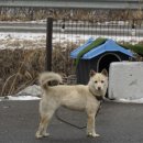 편한키즈풀빌라 | 가평키즈펜션 편한키즈풀빌라 솔직후기