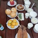 숲속의아침민박펜션 | 비내린 정선 숲속의 아침펜션, 가족과 함께한 잔잔한 하루
