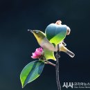 자산동167 이미지