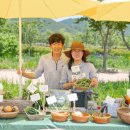 조영래농장 이미지