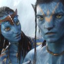 일등오토 이미지