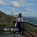 [대구여행] 대구 팔공산 케이블카 데이트 코스 가을 단풍 드라이브 코스