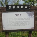 강강술래길 이미지