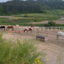 순천승마장 이미지