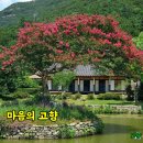 마음의 고향 이미지