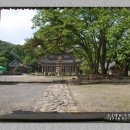 무진암 - 907 | (부여 여행 가볼 만한 곳) 부여 만수산 무량사(無量寺).생육신 김시습 초상과 부도