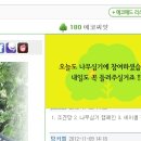 애드에코 이미지