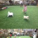 멍스토리 네이버블로그