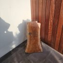 귤림추색 | 자쿠지가 있는 독채 감성 숙소 ‘귤림추색’ 만족스러운 내돈내산 후기 / 자녀가 있는 가족, 커플 추천!