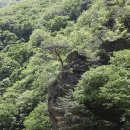 반월-9 이미지