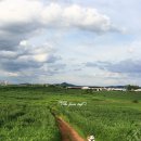 여름목장 이미지