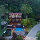 숲속의 아침 이미지