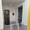 채육관 | 대구 애견 유치원 펫사랑애견유치원호텔 후기!!