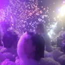 효성힐링분식&중식 | 📢 속보! 이천 테르메덴에서 '버블&amp;DJ 풀파티' 겨울 힐링 🛀