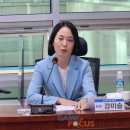 법인미솔