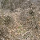 겸면 흥복 이미지