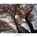 교2동-4 이미지