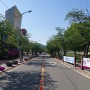 안성남사당공연장 | 여행/여행/국내여행 - 안성맞춤랜드의 잔디공원 힐링 및 안성남사당공연장에서 바우덕이 남사당공연 관람