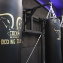 커키버팔로 복싱 클럽 이미지