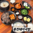 3일국밥뉴코아아울렛 | 울산 돼지국밥 맛집 용천돼지국밥 달동 점심 저녁 밥집