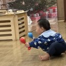롤리폴리 | 진주문화센터 갤러리아백화점 롤리폴리 수업후기, 문센추천