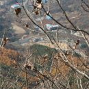 용인자연휴양림 이미지