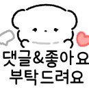 홍천자동차학원 이미지