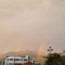 광정로 | [안양 데이트코스] 울산·안양 축구 직관⚽ + 산본맛집 ‘편백회관’ 후기💚