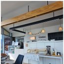 뽀미랑 | 강원도애견펜션에서 뽀미랑 함께한 자연 속 힐링 여행 후기