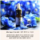 블루씨 이미지