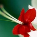 향기3로 이미지