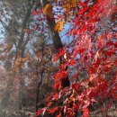 ＜오늘, 묵상＞ 하나님 품에 이미지