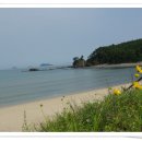 바라길 이미지
