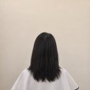 세븐헤어월드 - 하남시 | 세븐헤어월드