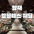 [결혼준비] 엘블레스 양재 웨딩홀 투어 후기 (계약 X) / 26년 5월 6월 견적 공유 / 당일 혜택