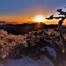 가장 아름답고,환성이 절로나웠던,태백산천제단상고대(2018) 이미지