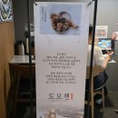 수성구청역 2번 출구 앞 | [대구 수성구 범어동, 도모젠]수성구청역 텐동 맛집, 범어동 돈카츠 제대로 먹고 온 후기