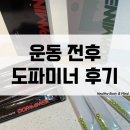 알파 트레이닝센터 | 운동전후 보조제 추천 도파미너 머슬펌퍼 퍼포먼스 먹어 본 후기