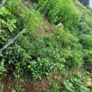 애월풀빌라 펜션 이미지