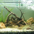 고기나라 이미지