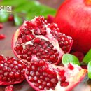 엘림한의원 이미지