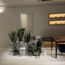 휴마사지 - 세종특별자치시 호려울로 45 | 휴마사지