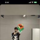 강아지 나라 이미지